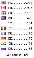 visitors by country counter