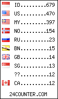 visitors by country counter