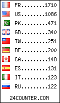 visitors by country counter