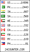 visitors by country counter