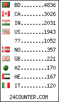 visitors by country counter