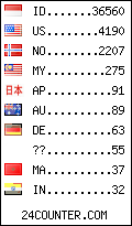 visitors by country counter