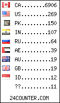 visitors by country counter