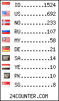 visitors by country counter