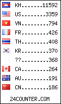 visitors by country counter
