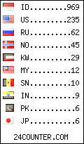 visitors by country counter