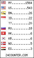 visitors by country counter