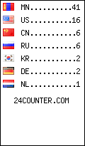 visitors by country counter