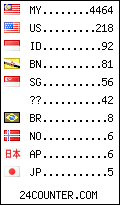 visitors by country counter