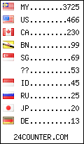 visitors by country counter