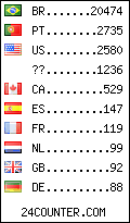 visitors by country counter