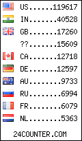 visitors by country counter