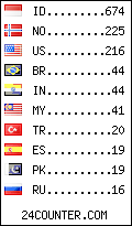 visitors by country counter