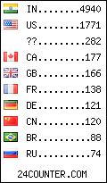 visitors by country counter