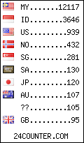 visitors by country counter