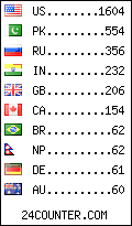 visitors by country counter