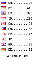 visitors by country counter