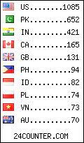 visitors by country counter
