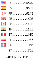 visitors by country counter