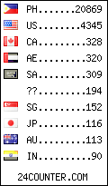 visitors by country counter