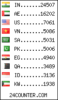 visitors by country counter