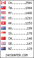 visitors by country counter