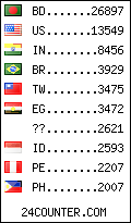 visitors by country counter