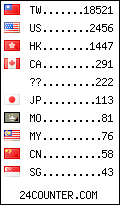 visitors by country counter