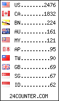 visitors by country counter