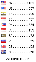 visitors by country counter