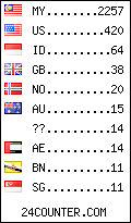 visitors by country counter