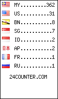 Visitors by country counter