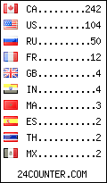 visitors by country counter