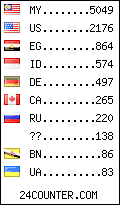 visitors by country counter