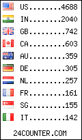 visitors by country counter