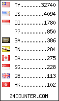 visitors by country counter