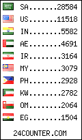 visitors by country counter
