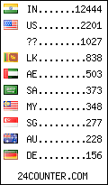 visitors by country counter