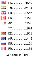 visitors by country counter