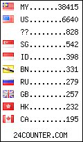 visitors by country counter