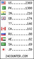 visitors by country counter