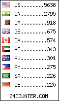 visitors by country counter