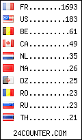 visitors by country counter
