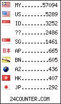 visitors by country counter