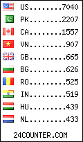 visitors by country counter