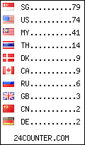 visitors by country counter