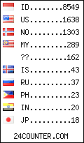visitors by country counter