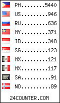 visitors by country counter