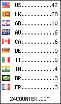 visitors by country counter