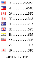 visitors by country counter